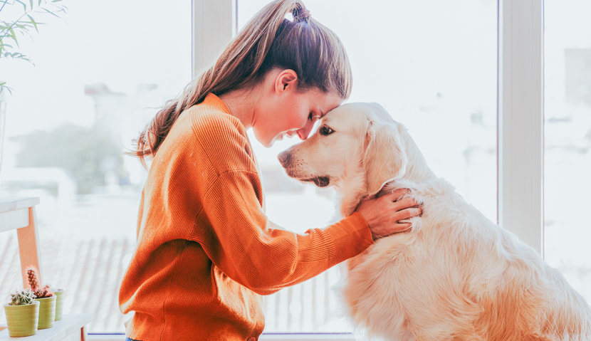 From birds, to hamsters, to cats and dogs: discover the joys of sharing your home with a pet in Japan!