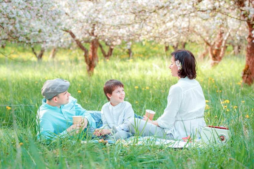 Assemble picnic materials that reflect the season