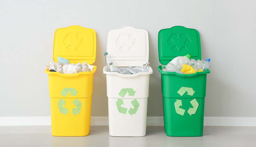 Sustainable waste management in Japan